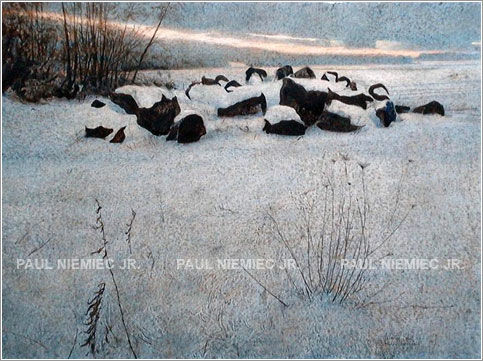 Winter still