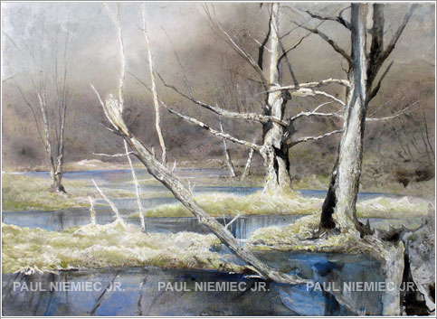 Spring Marshes