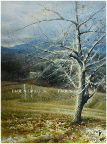 study, Mountain Apples, by Paul Niemiec Jr. Running Wind Studio