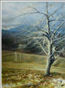 study, Mountain Apples