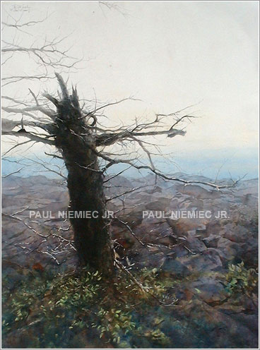 Old Guard, limited edition print by Paul Niemiec Jr. Running Wind Studio