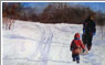 study, Toboggan Run