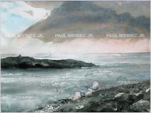 Silver Squall