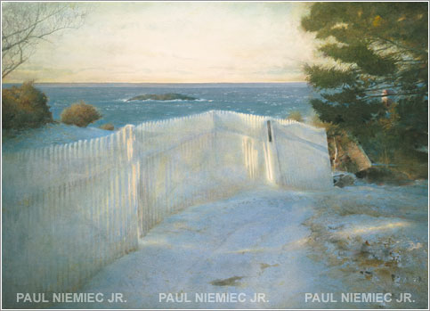 White Picket In Winter
