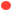 Sold, Red Dot