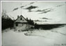 Wind Whipped