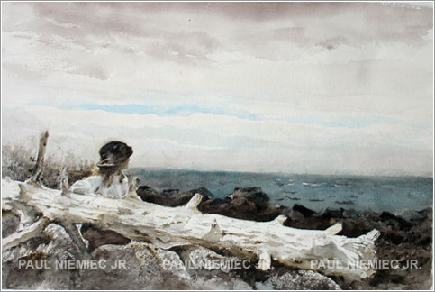 study, Steeled Waters
